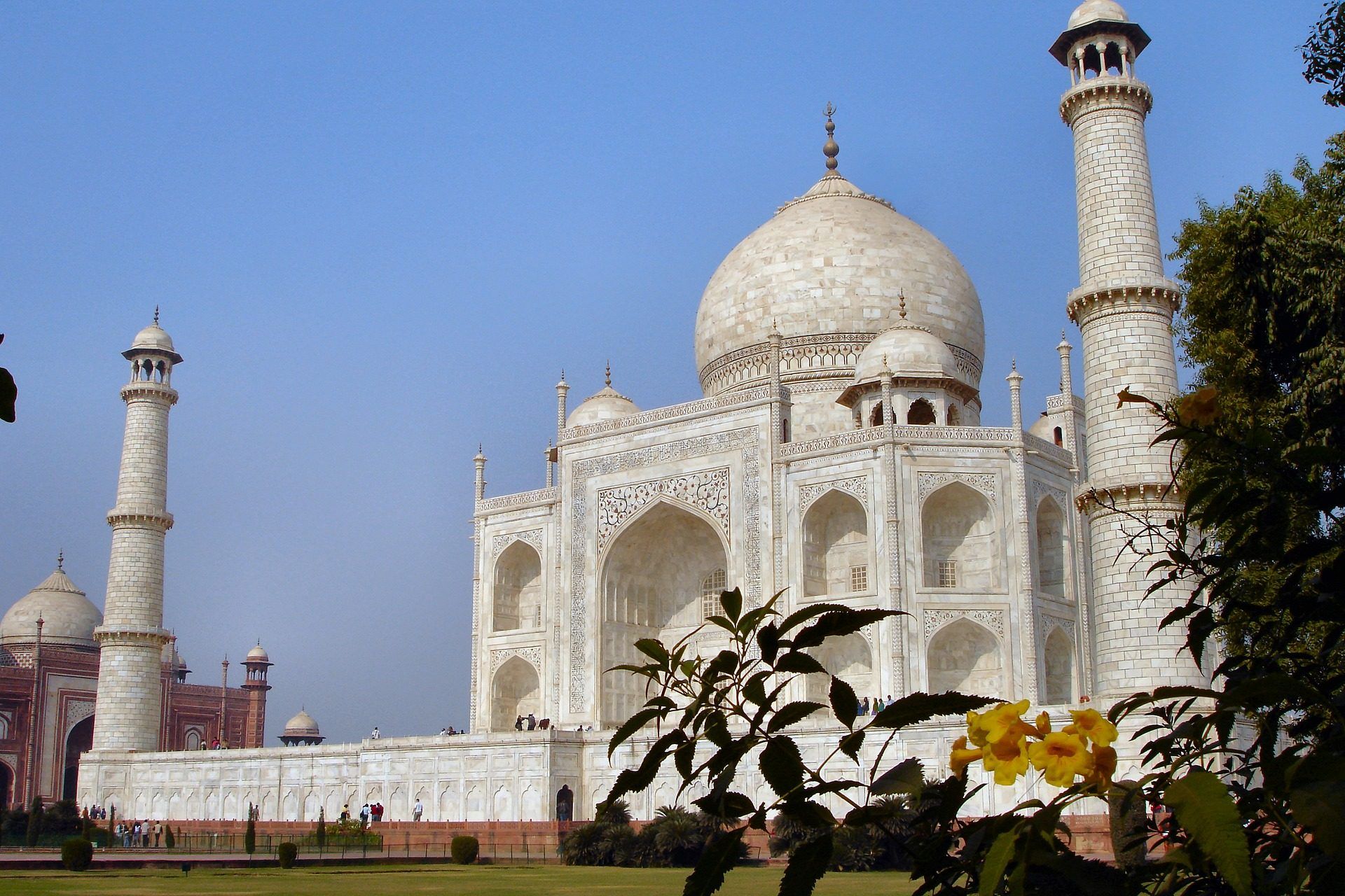 agra-1834366_1920 agra-1834366_1920