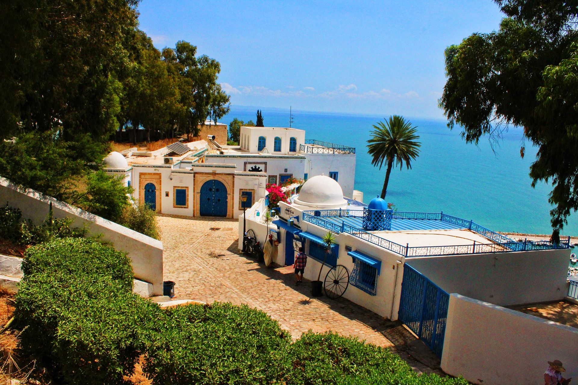 tunis-3885667_1920 tunis-3885667_1920