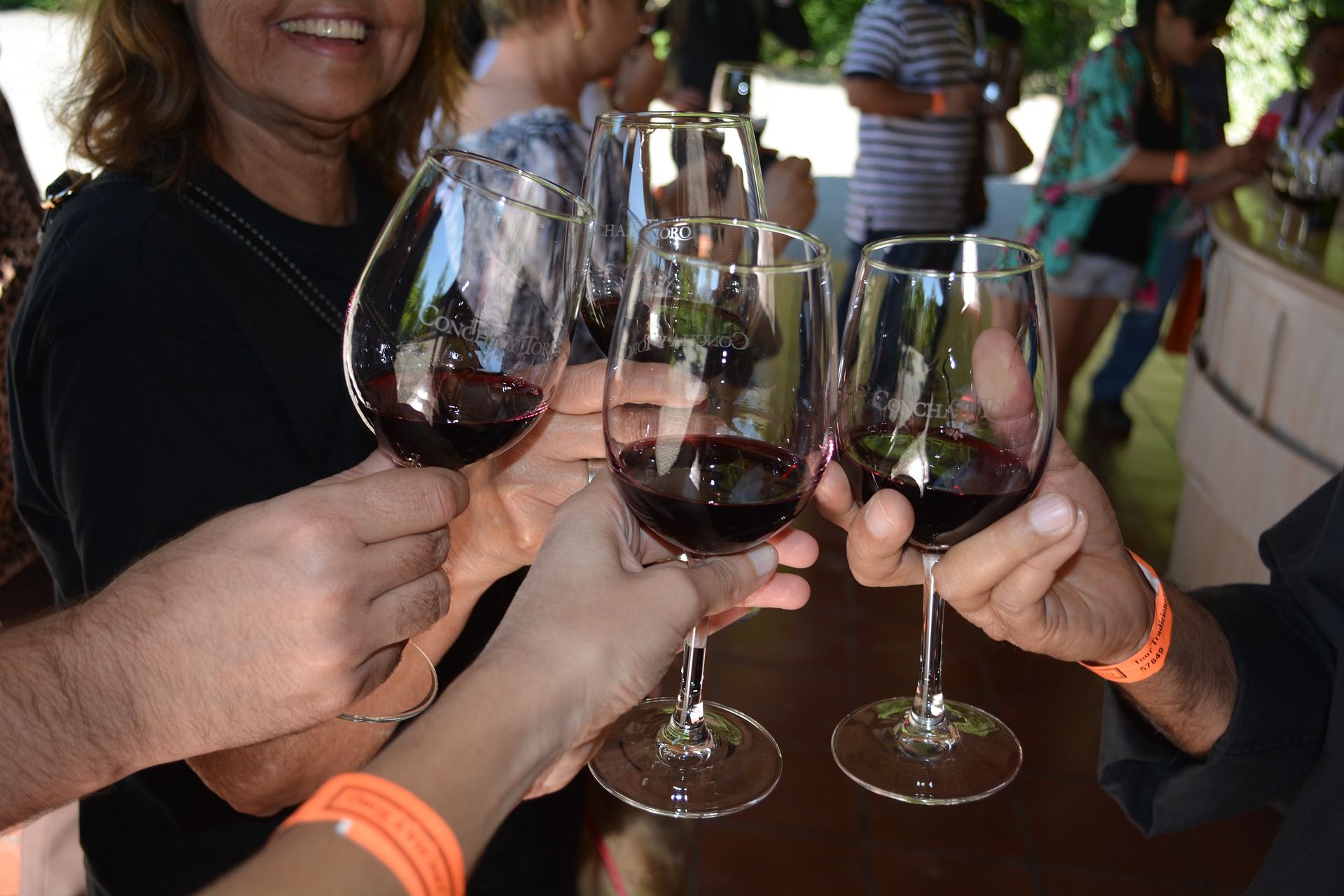 winery-3716542_1920 winery-3716542_1920
